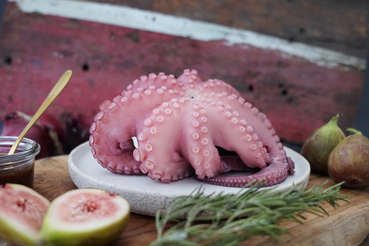 Oktopus ganz gekocht "XS"